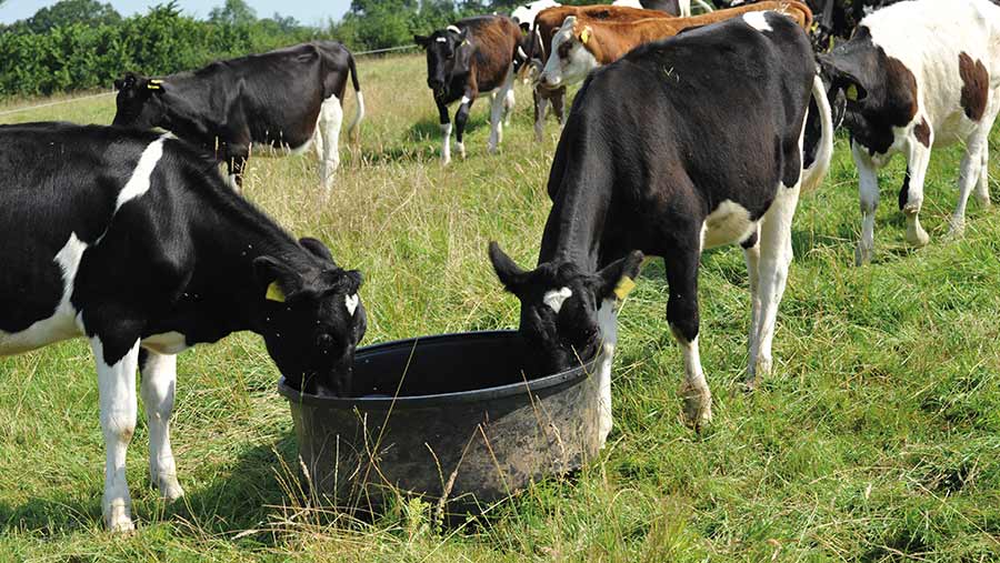 Livestock Systems and the Environment